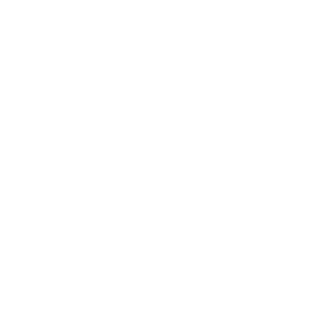 Variable Displacement piston pumps